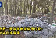 合肥市區樹林被偷倒大量垃圾追蹤：已清理