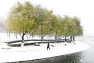 美國加州遭受冬季風暴襲擊 東北部暴雪持續(xù)