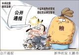 中央纪委国家监委公开通报十起粮食购销领域违纪违法典型案例
