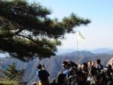 黄山风景区春节期间开放时间、交通换乘和索道经营时间确定