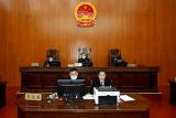萧县法院公开审理一起偷越国境、电信诈骗案