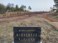 新春走基層|走進春晚吉祥物“兔圓圓”的故鄉——探兔源 品民俗 滑冰雪?  ? ??