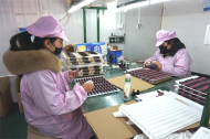 河溜鎮：做好“加減法”穩經濟，服務小微企業“加速度”
