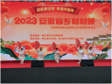 蚌埠市心连心志愿者协会：乡村春晚，送戏上门