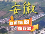 提振信心在行动 | 安徽：扩投资 上项目 拼经济 见成效