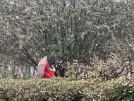 合肥市氣象臺解除寒潮黃色預(yù)警信號