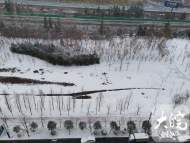 嘎嘎冷！16日早晨，安徽省最低氣溫將降至-10℃