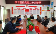 淮南市大通區洛河鎮：“規”字當頭 用好“四關”推動農村黨員教育管理提質增效