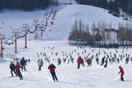 2023年安徽省快樂健身冰雪活動在天柱山滑雪場開啟