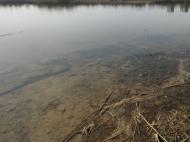 合肥南艷湖水體變紅是土壤“鬧”的 