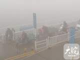 ﻿淮南：大雾致田家庵渡口停运