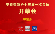 回放||安徽省政協十三屆一次會議開幕會