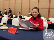 安徽省人大代表陳芳清：建議統(tǒng)籌利用各地文旅資源  促進地方文化發(fā)展