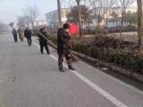 临北回族乡：庆新春 过大年 保洁人员清扫忙