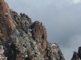 “黄山人免门票游黄山”活动将开始