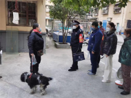 黃莊街道東方紅社區：整治犬類亂象 引領文明新風  