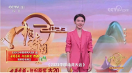 《中國詩詞大會》行至“天下”，從詩意中品賞古井貢酒的杯里芳華