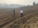 宜秀区罗岭镇小龙山社区：200亩订单辣椒种植忙