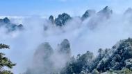 黄山迎来迷人春雪（图）