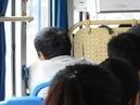 舒城：这些人群可免费乘坐公交车