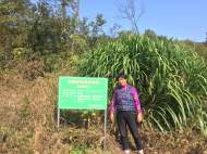 宜秀區(qū)羅嶺鎮(zhèn)林春村：鄉(xiāng)村振興公益崗，護林又增收
