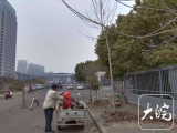 李楼乡汪圩村：人居环境“展新颜”乡村振兴“亮新姿” 