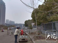 李樓鄉汪圩村：人居環境“展新顏”鄉村振興“亮新姿” 
