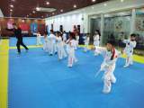 合经区锦绣社区天门湖居民区新时代文明实践站：少年壮志自得林，跆拳妙趣塑人生