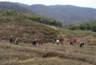 宜秀區楊橋鎮鹿山村：黨建引領促發展 搶抓農時助春耕