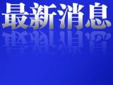 中国动物园协会：大熊猫“乐乐”死因已初步确定 中方已为接返“丫丫”做好准备