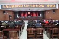 宜秀區(qū)大龍山鎮(zhèn)第四屆人民代表大會第二次會議召開