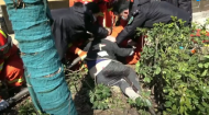 六安一男孩爬樹時不慎滑落  樹枝插進大腿