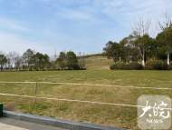 合肥：減輕養護壓力 部分公園試點小草“輪休”