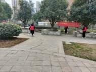金安區(qū)望城街道和諧社區(qū)開展家園清潔日活動
