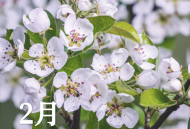 查晶芳：拾花記