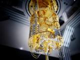 2月12日，合肥造量子计算机首次免费开放参观