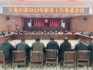 宜秀區大龍山鎮：吹響新春“沖鋒號” 下好開局“先手棋”