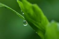 丁思曉：春雨入夢來