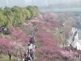 安徽：冷空气拉低气温 “雨水”节气带来雨水