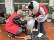 合肥市瑤海區和平街道：環保菜園 播種綠色