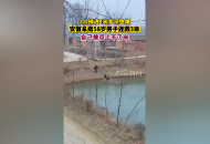 3人掉進4米多深魚塘 安徽阜南58歲男子連救3命 自己差點上不了岸