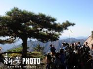 事关春季优惠活动 黄山风景区发布说明