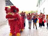 合肥一社区组织“小萌狮”们闹元宵