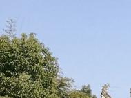 2月24日起合肥氣溫逐步回升 下周最高溫升至16℃左右