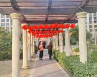 蚌山區(qū)燕山鄉(xiāng)陳梁社區(qū)開展元宵節(jié)系列活動