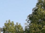 中央氣象臺：弱冷空氣將影響華北東北
