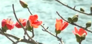 胡兆喜：青春與詩