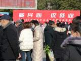 新安观察 | 安徽“春风行动”招聘忙，“用工暖”折射出经济向上信号