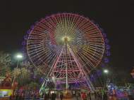 夜太美！淮南龍湖公園燈光璀璨