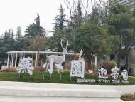 新時代新征程新偉業 | 蕪湖：口袋公園健身器材很智能，可以告訴你消耗多少卡路里